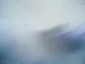 PureMature - Бренди  ...