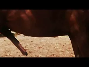 EroticaX ältere porn ...